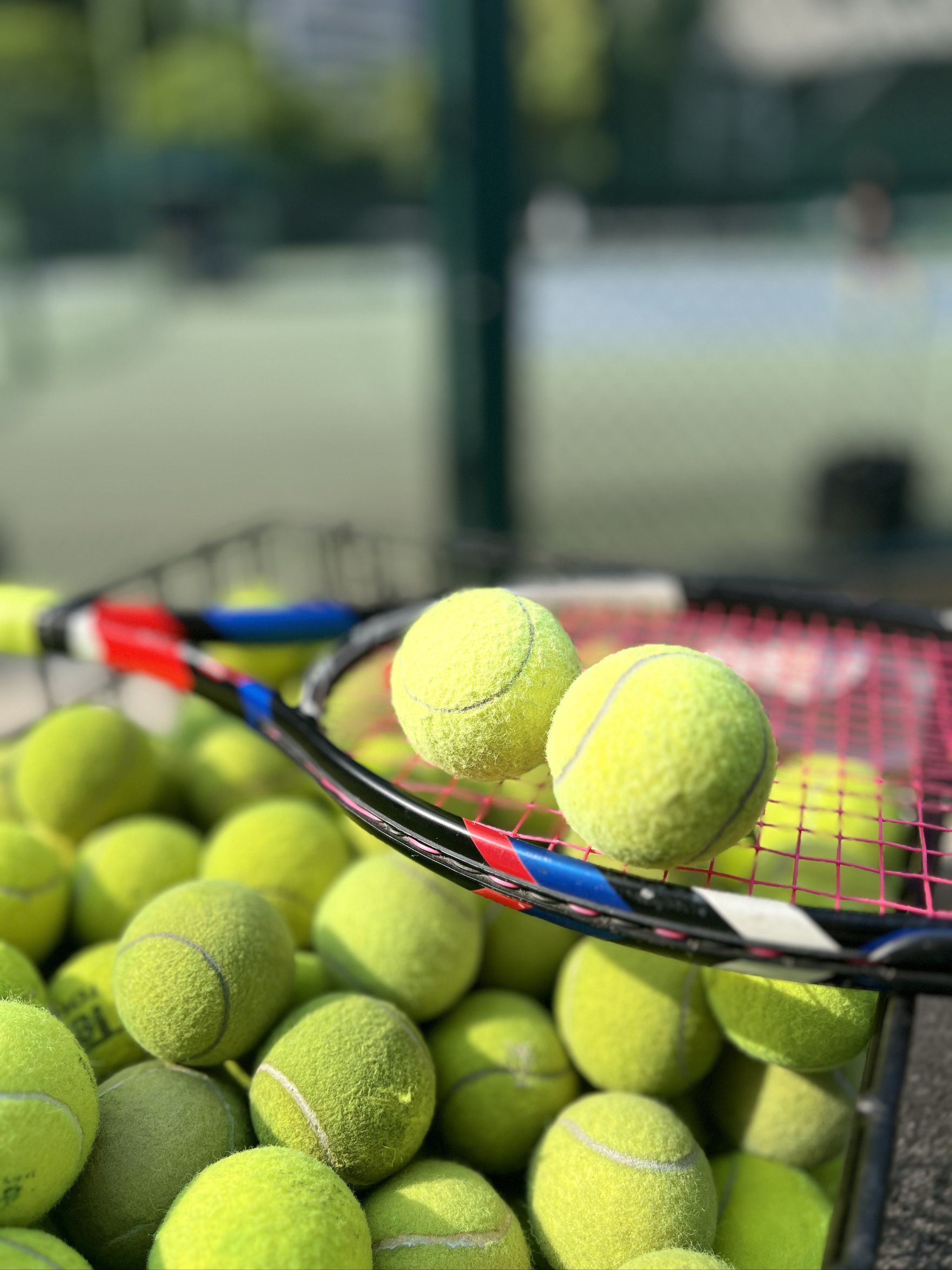 了不可替代 了不可替代