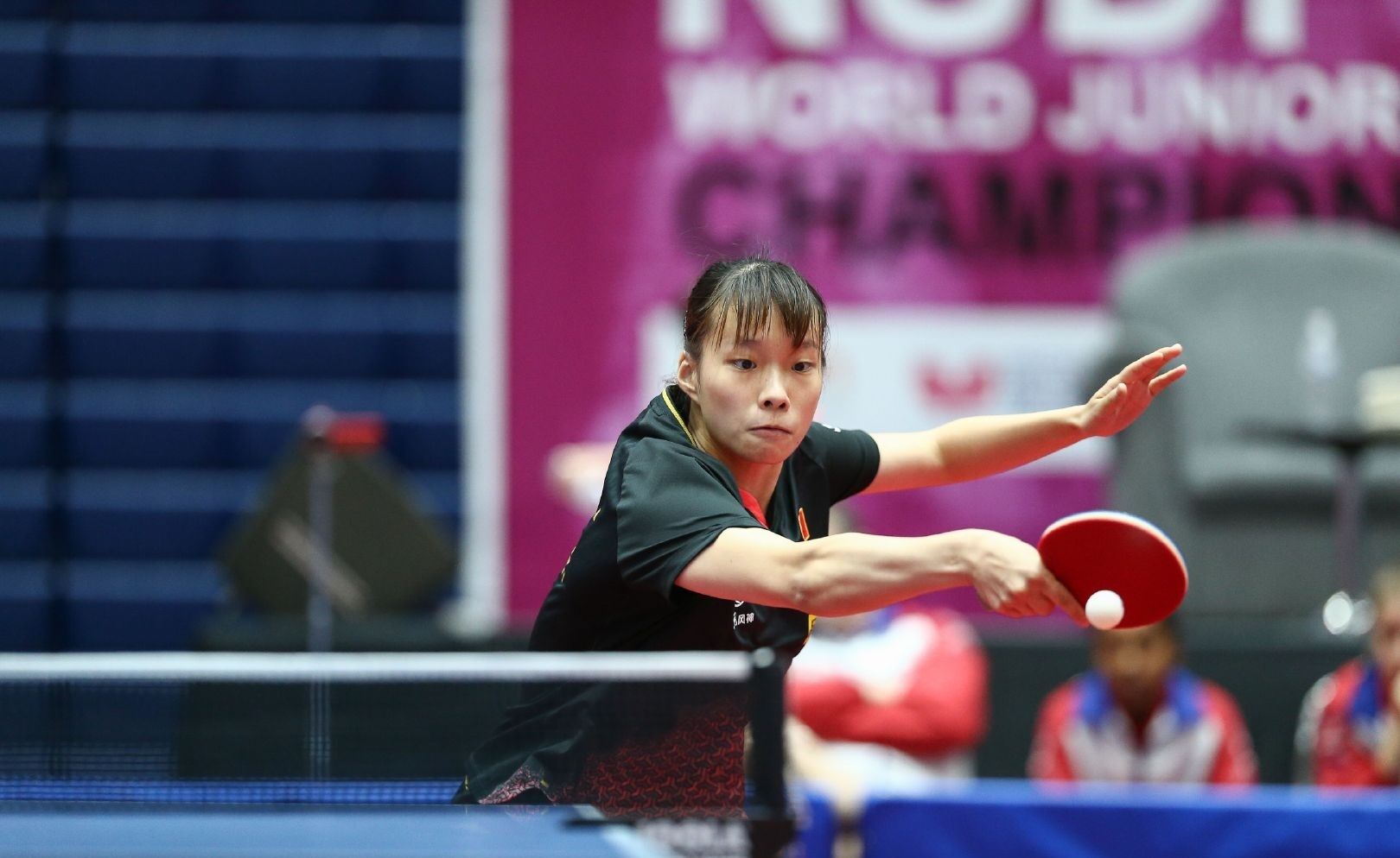 努力都至关 努力都至关